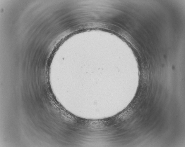 X0000052540832200507221423