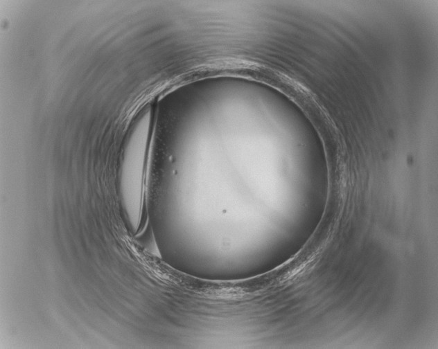 X0000052540833200507221423