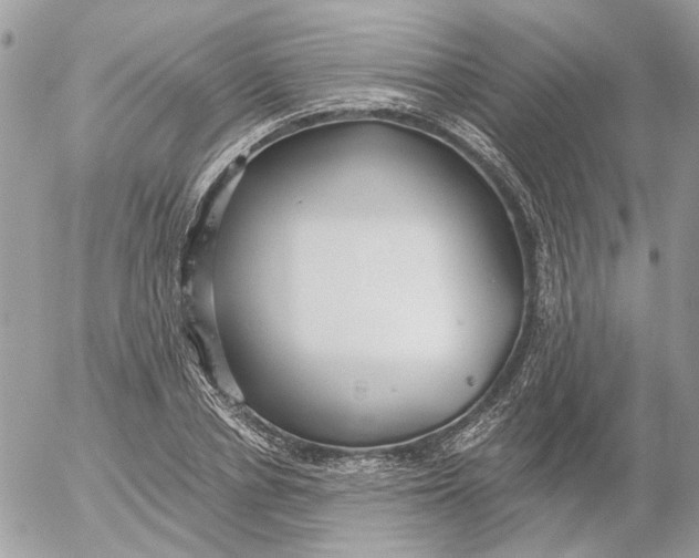 X0000052540834200507221423