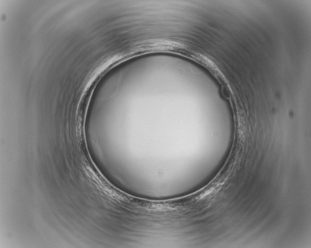 X0000052540835200507221423