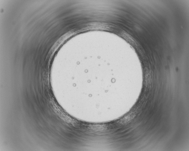 X0000052540836200507221423