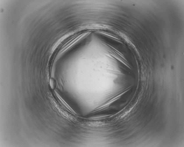 X0000052540837200507221423