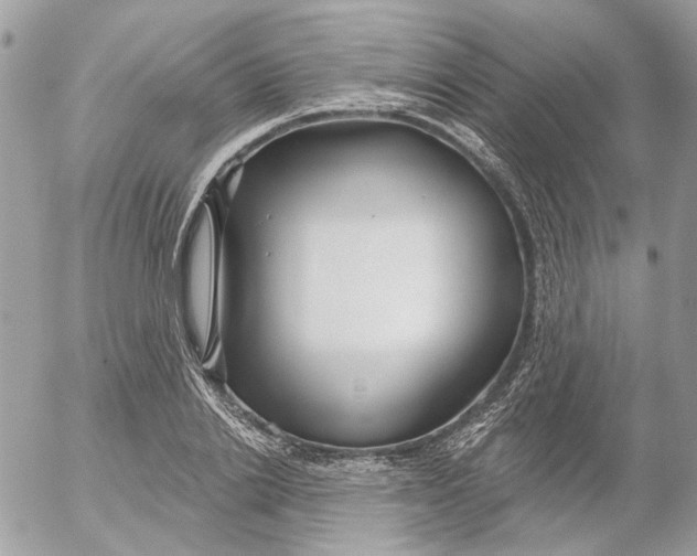 X0000052540838200507221423