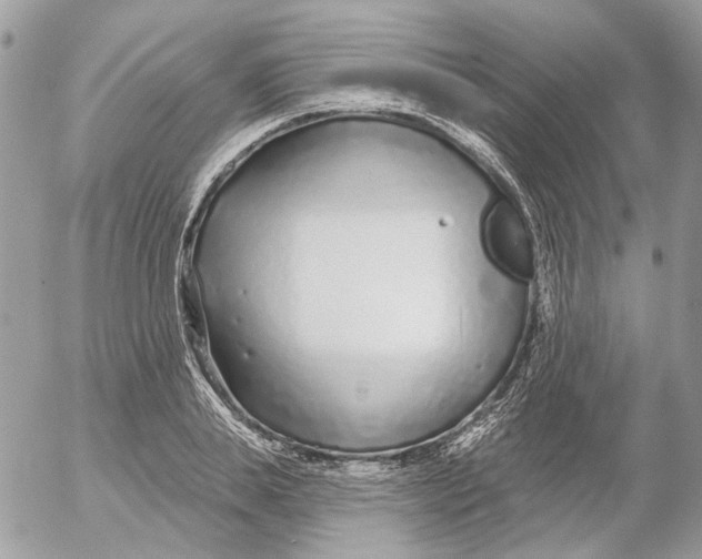 X0000052540839200507221423