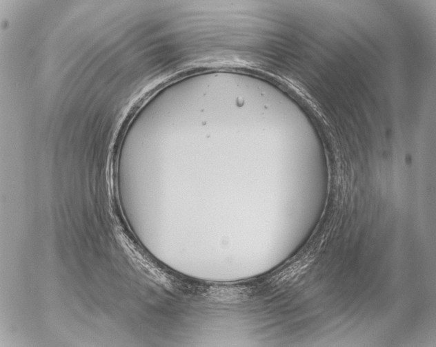 X0000052540840200507221423