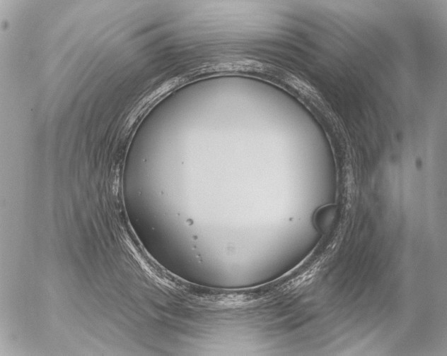 X0000052540841200507221423