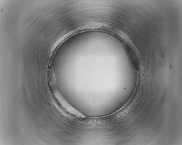 X0000052540842200507221424