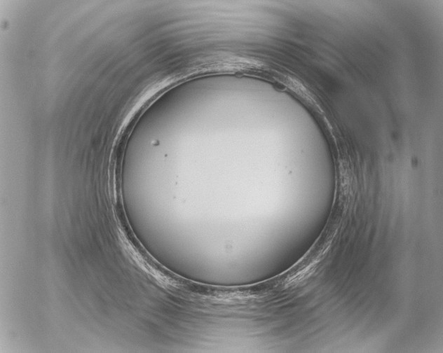 X0000052540843200507221424