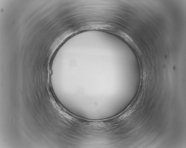 X0000052540844200507221424