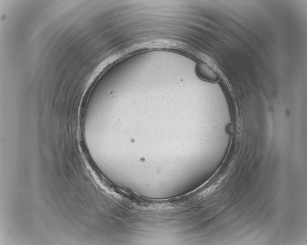 X0000052540845200507221424