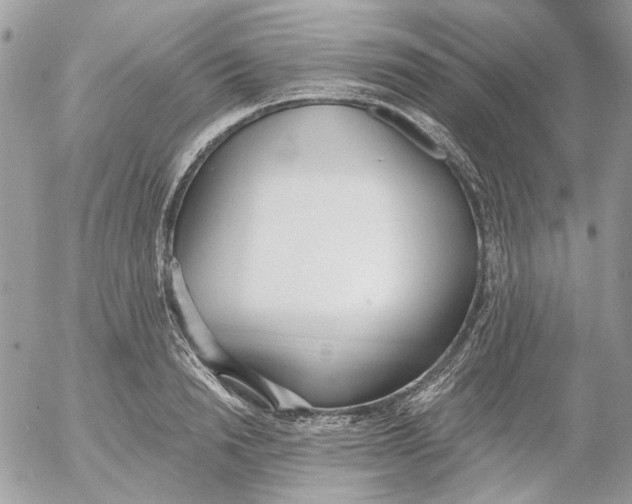 X0000052540846200507221424