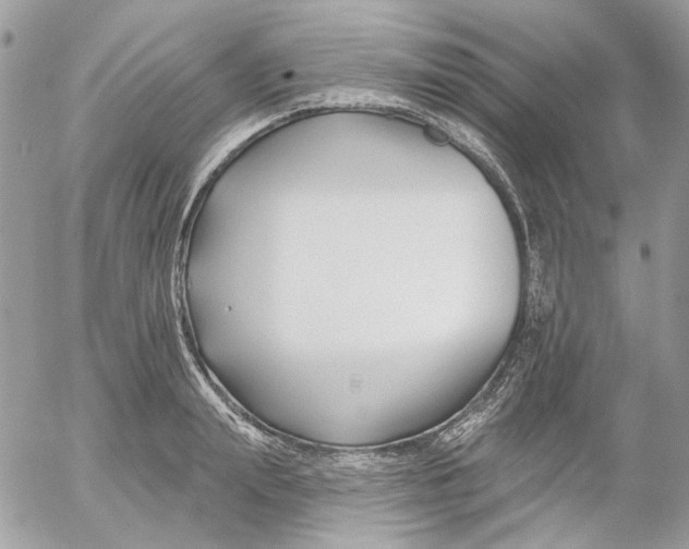 X0000052540847200507221424