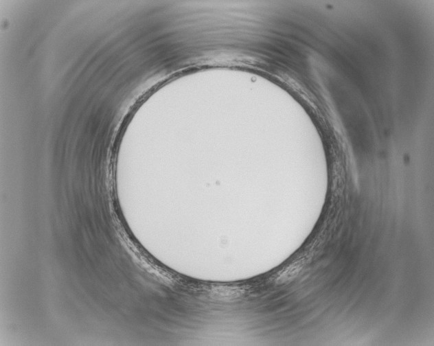 X0000052540848200507221424