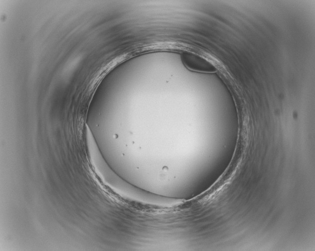 X0000052540849200507221424