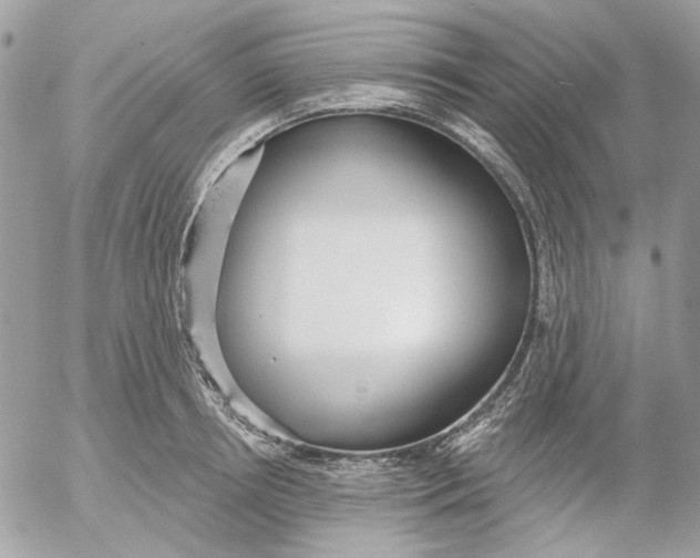 X0000052540850200507221424