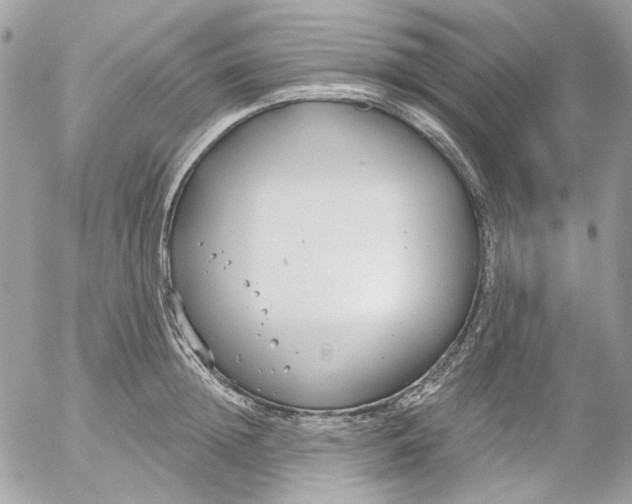 X0000052540852200507221424