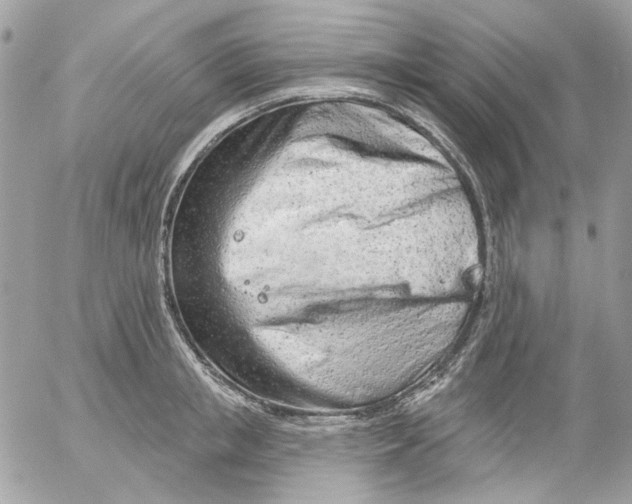 X0000052540853200507221424