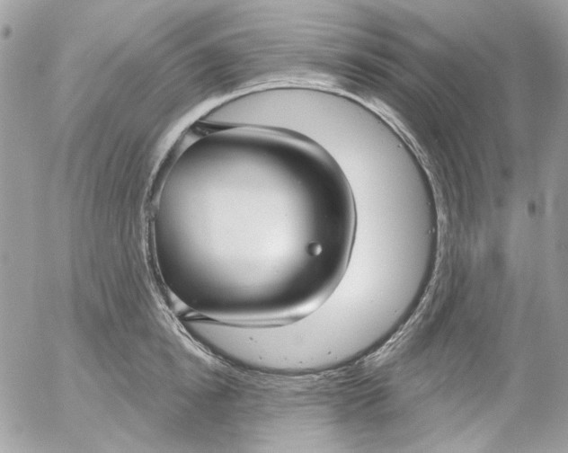 X0000052540854200507221424