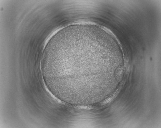 X0000052540855200507221424