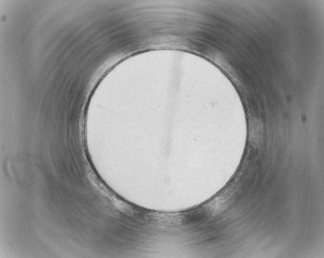 X0000052540856200507221424