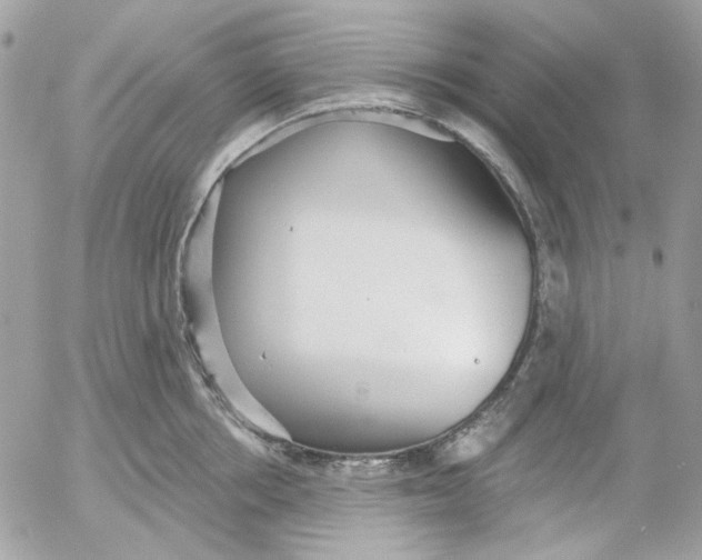 X0000052540858200507221424