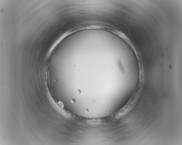 X0000052540859200507221424