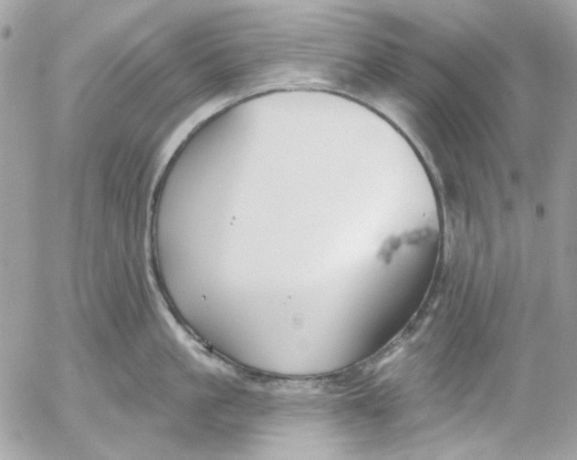 X0000052540861200507221424