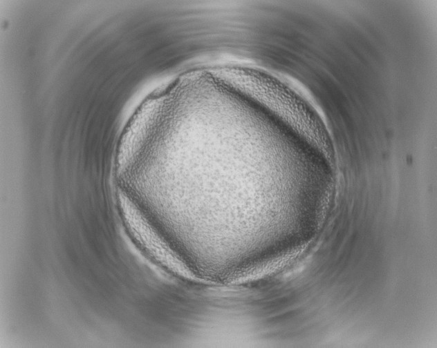 X0000052540863200507221424