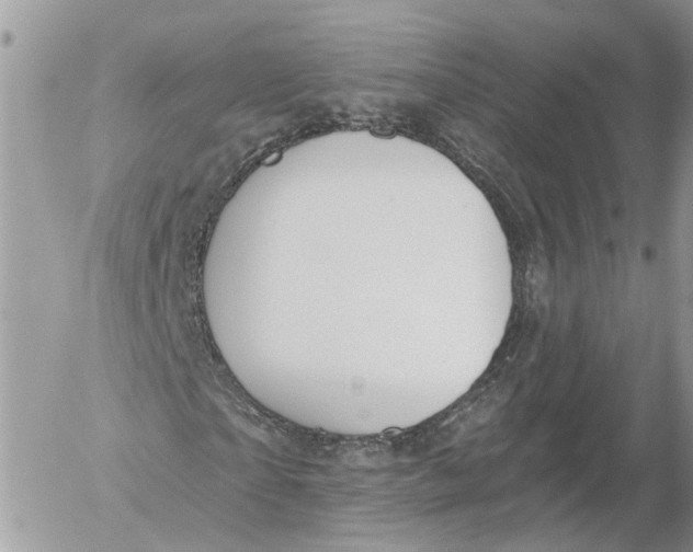 X0000052540865200507221423