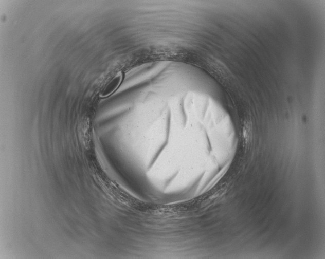 X0000052540867200507221423