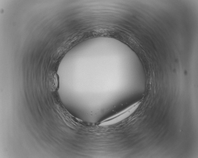 X0000052540868200507221423