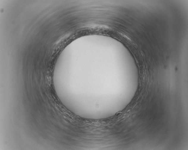 X0000052540869200507221423