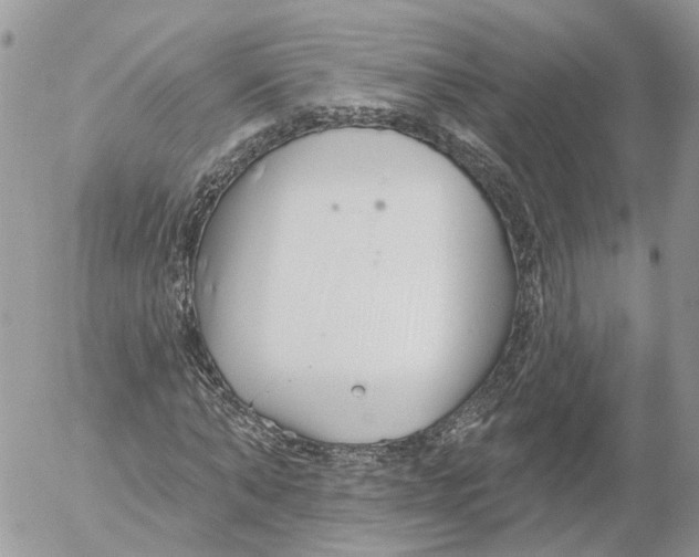 X0000052540870200507221423