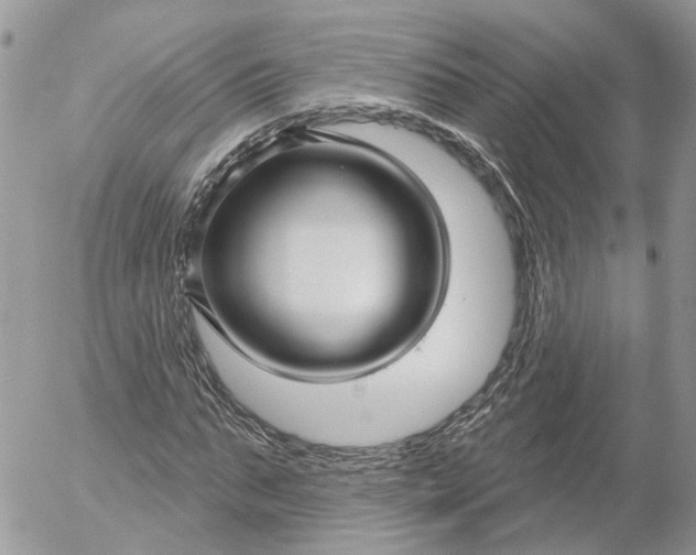 X0000052540871200507221423