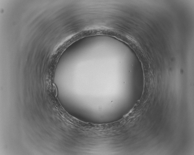 X0000052540872200507221423