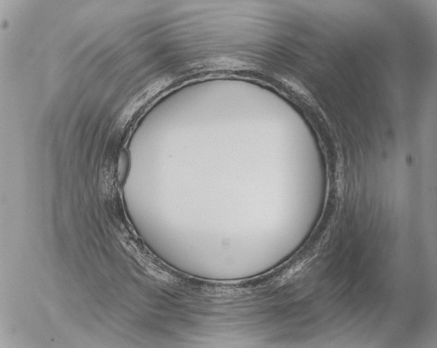 X0000052540873200507221423