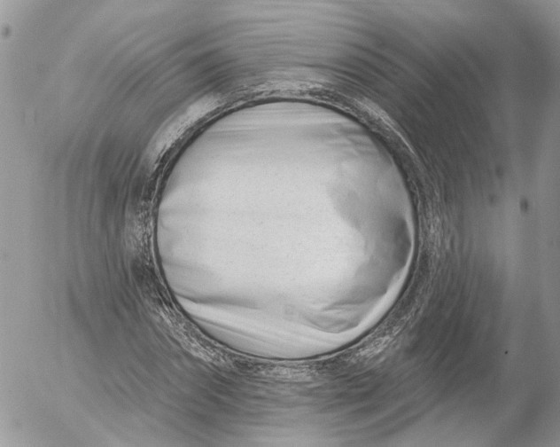 X0000052540874200507221423