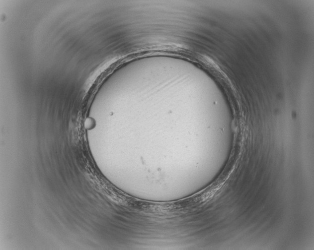 X0000052540875200507221423