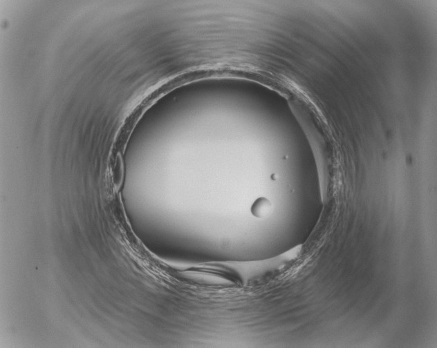 X0000052540876200507221423