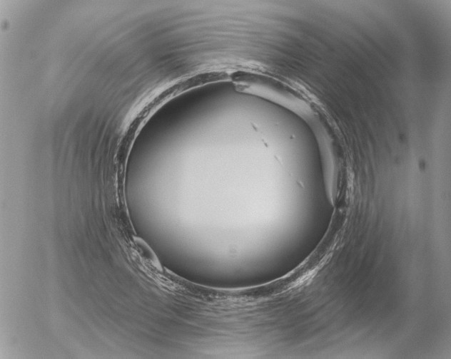 X0000052540877200507221423