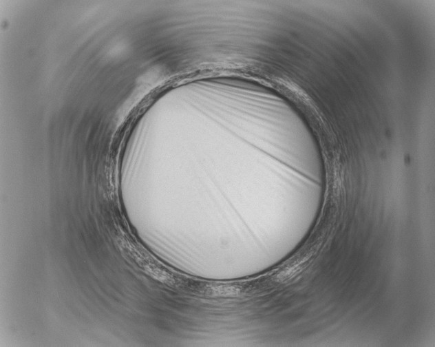 X0000052540878200507221423