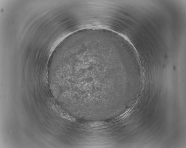 X0000052540879200507221423