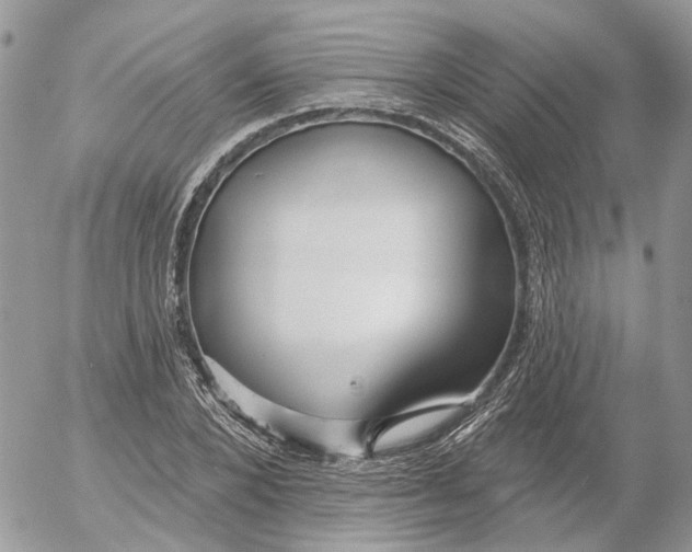 X0000052540880200507221423