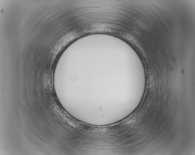 X0000052540882200507221423