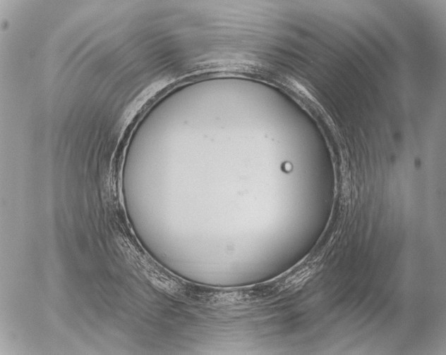 X0000052540883200507221423