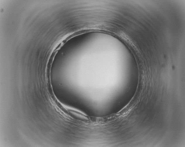 X0000052540884200507221423