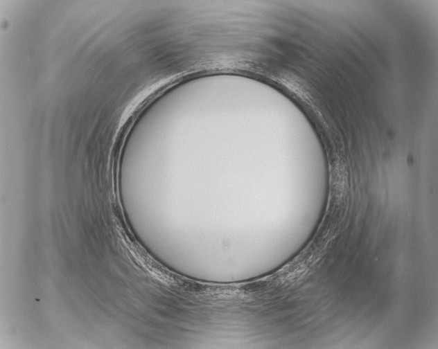 X0000052540886200507221423