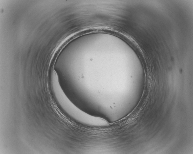 X0000052540887200507221423