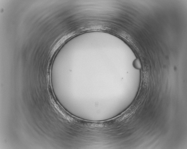 X0000052540890200507221423