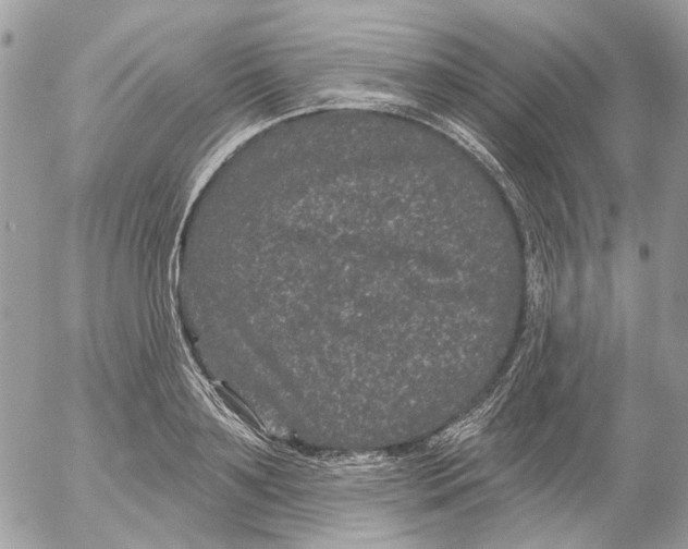 X0000052540891200507221423